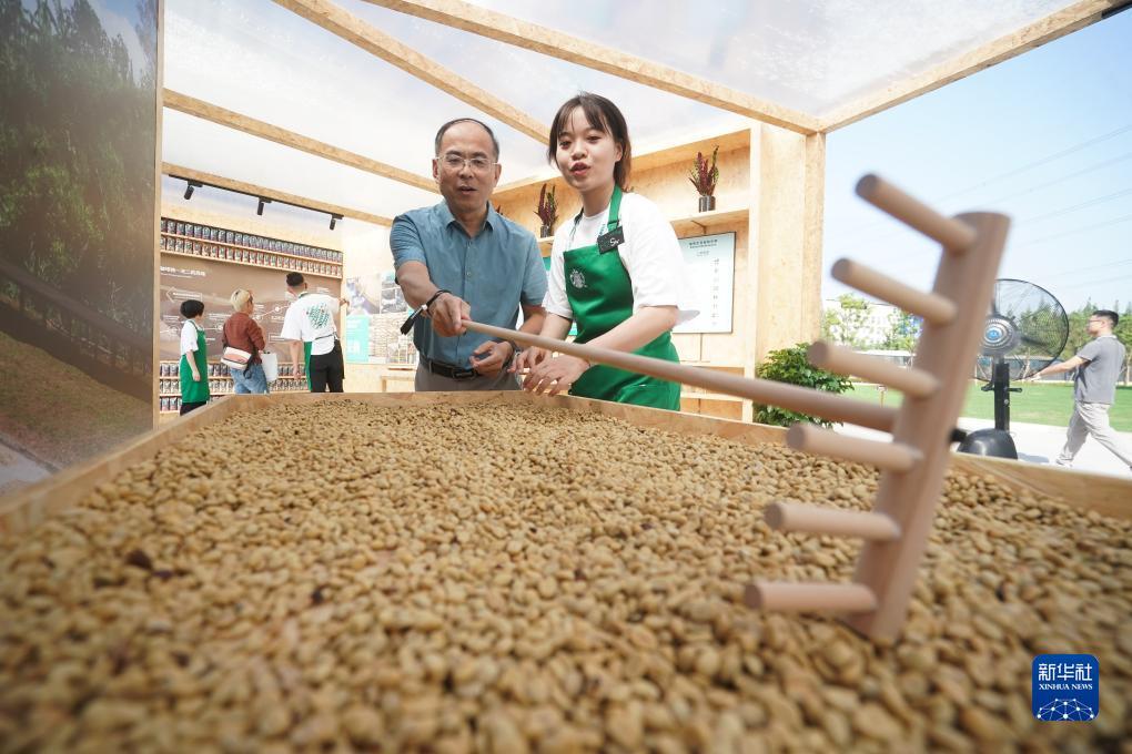 v86.cc威尼斯